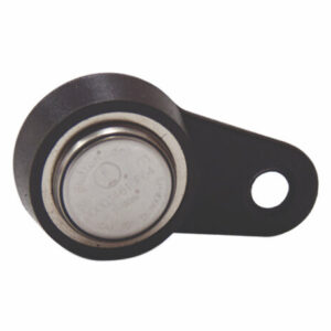 Elektronischer Schlüssel - iButton magnetisch